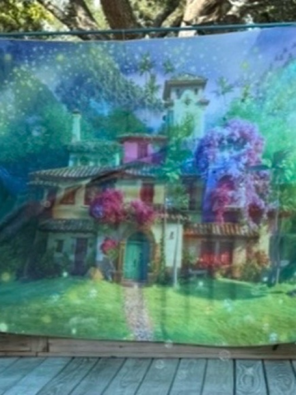 Encanto House Party Backdrop